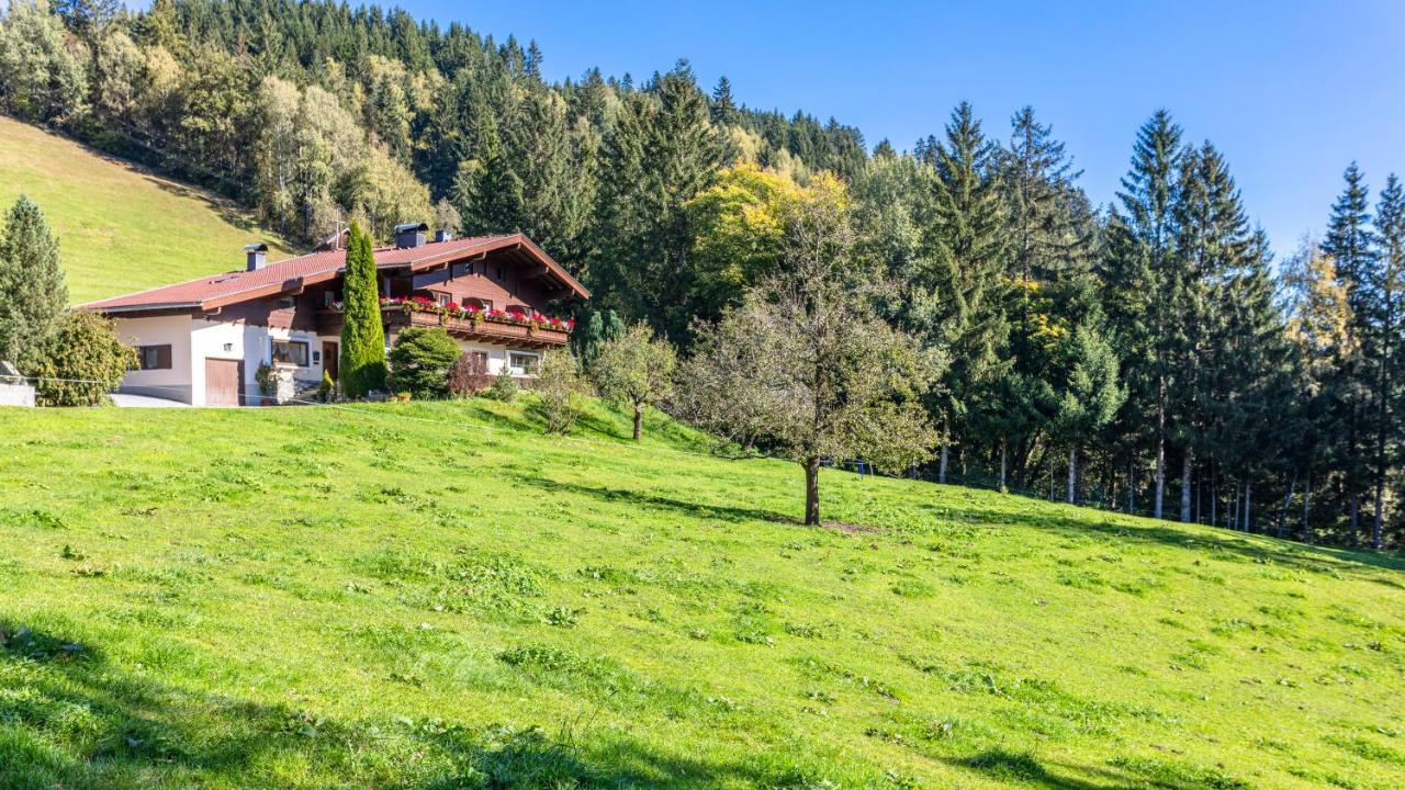 Ferienhaus Berger Mittersill Esterno foto