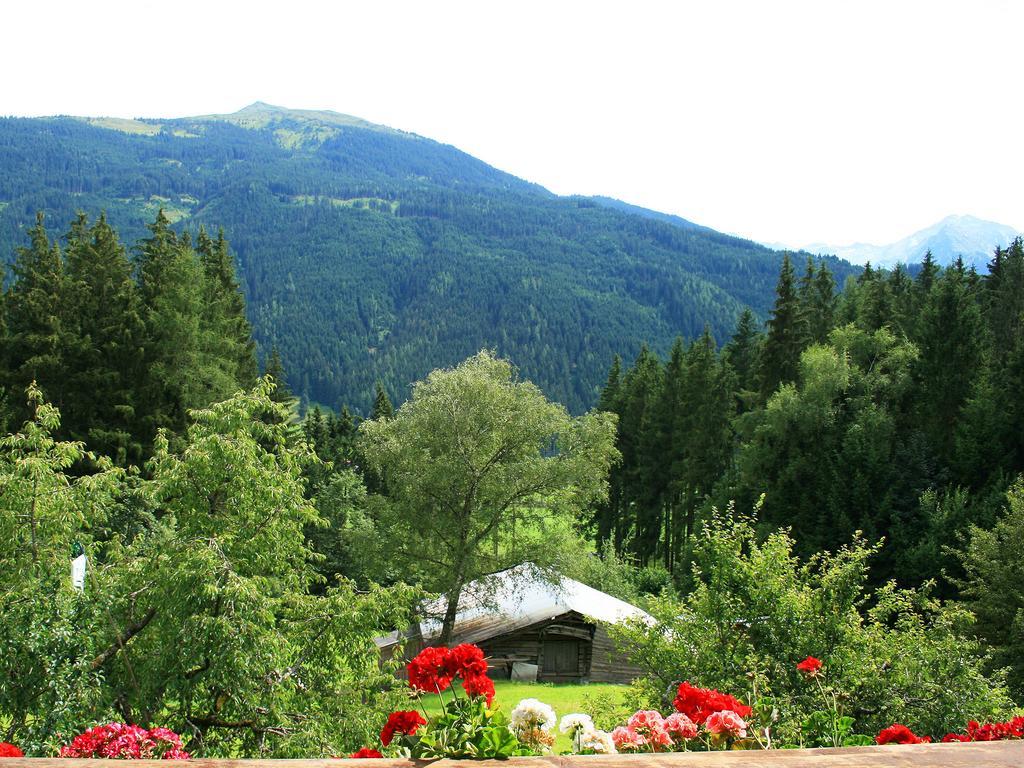 Ferienhaus Berger Mittersill Camera foto