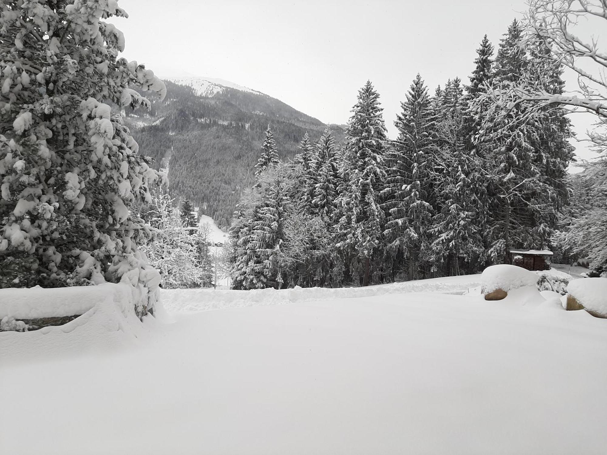 Ferienhaus Berger Mittersill Esterno foto
